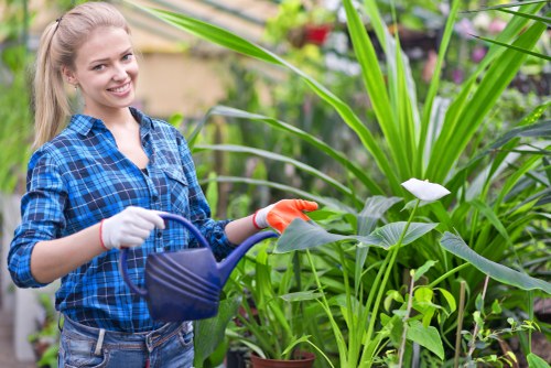 Beautifully maintained garden in Aldwych by Garden Services Aldwych