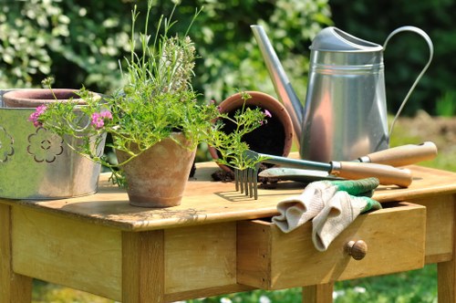 Professional gardeners working on a lawn