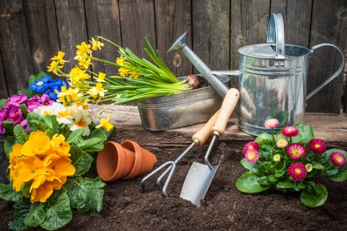 Tree care services being performed in a local garden