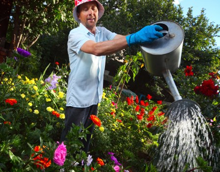 Lush green lawn cared for by experts