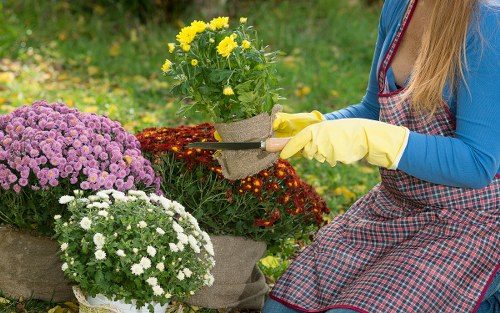 Eco-friendly gardening practices in a Becontree garden