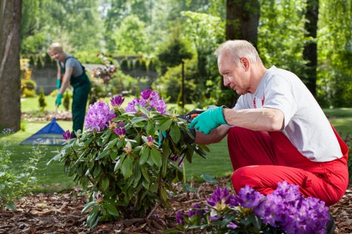 Seasonal garden cleanup by Garden Services Aldwych