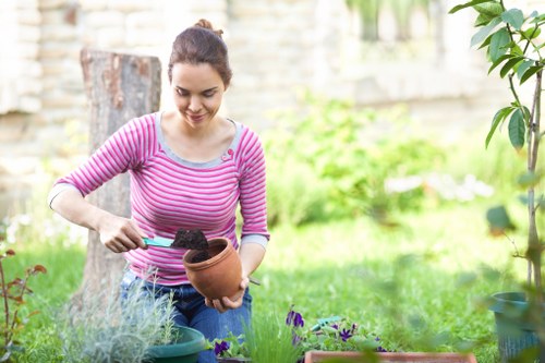 Seasonal garden maintenance in Barnes Cray