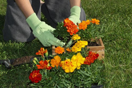 Seasonal garden care services ensuring healthy growth