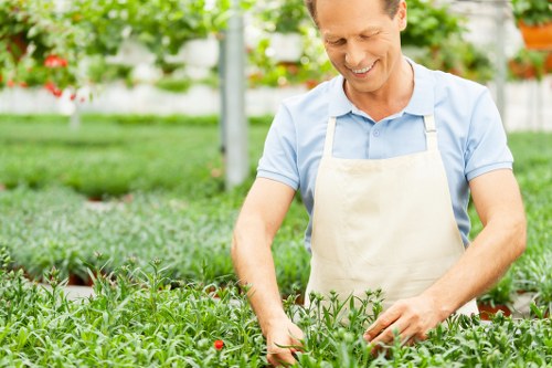 Professional gardener working in Barnet