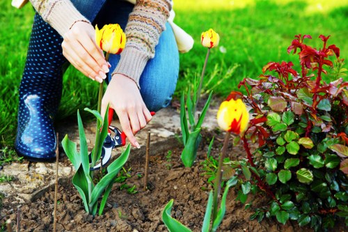 Professional gardener working on garden design in a Beckton backyard