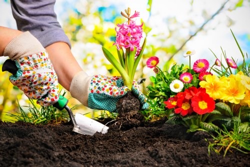 Professional lawn maintenance by Green Thumb Garden Services