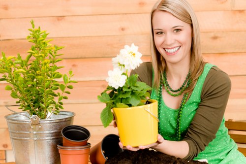 Professional landscapers working on a lush garden in Belvedere