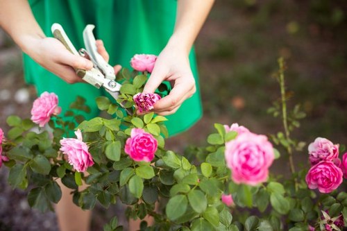 Expert landscapers designing a garden