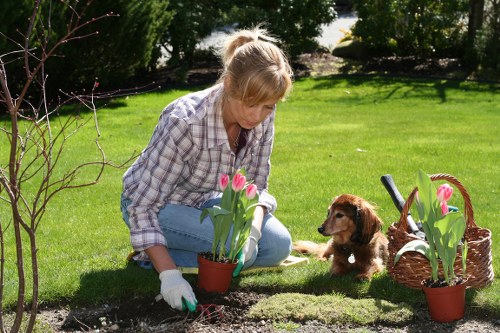 Professional garden maintenance services including lawn care and pruning in Aperfield.