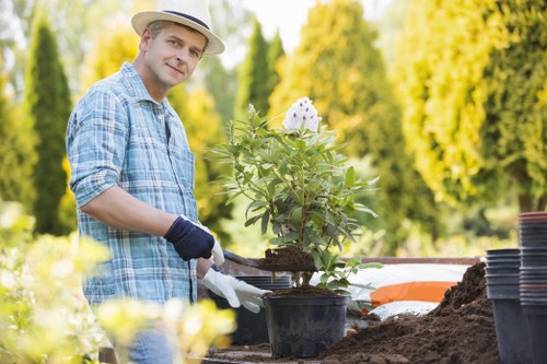 Eco-friendly garden practices in Barnet