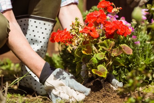 Seasonal planting and garden maintenance by Green Thumb