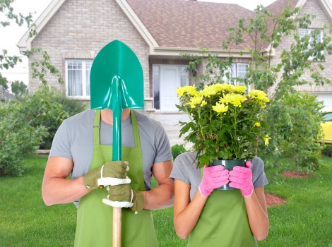 Professional garden maintenance services in Anerley