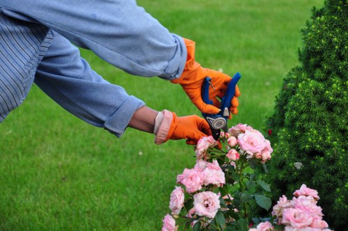 Local garden professionals managing seasonal garden care in Aperfield.