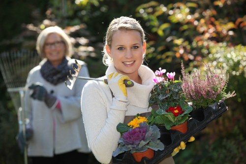 Seasonal planting in a vibrant garden