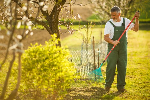 Landscaping design in a residential garden