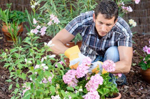 Seasonal garden maintenance activities