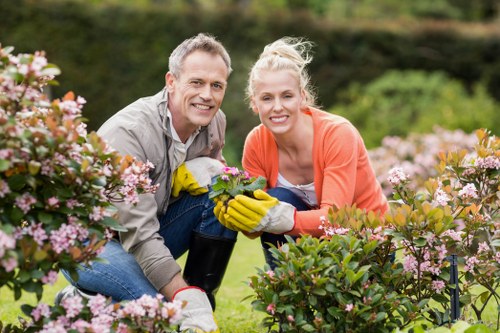 Lush plants and trees pruned by garden service experts