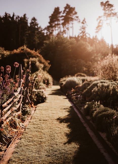 A well-maintained garden pathway bordered by lush, neatly trimmed hedges and vibrant flowering plants on the left side, with a lush green lawn on the right. The path appears to be made of natural gras